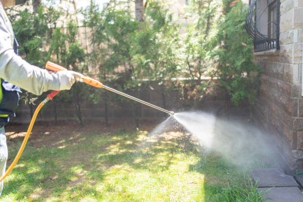 Best Bird Control  in Fort Dix, NJ